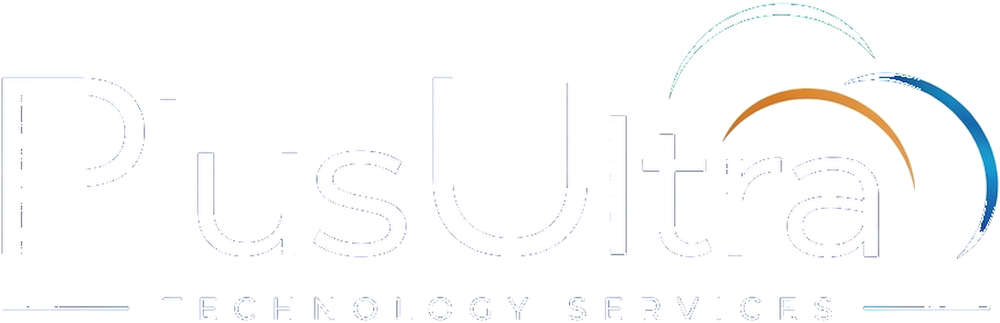 Plus Ultra Technology Services